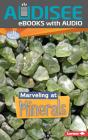 Marveling At Minerals - Preview