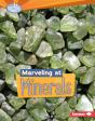 Marveling At Minerals - Preview