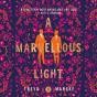 Marvellous Light - Preview