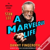 Capa do artigo Marvelous Life