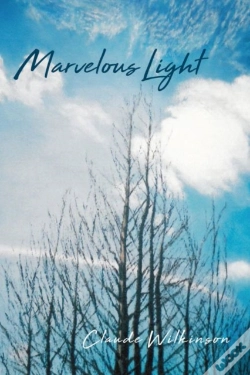 Capa do artigo Marvelous Light