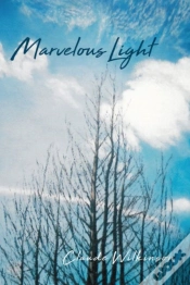 Capa do artigo Marvelous Light