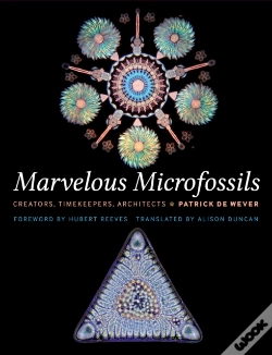 Capa do artigo Marvelous Microfossils