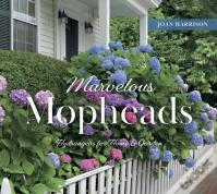 Marvelous Mopheads