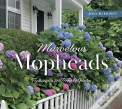 Capa do artigo Marvelous Mopheads