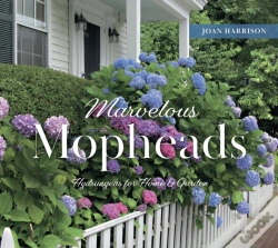 Capa do artigo Marvelous Mopheads