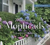 Capa do artigo Marvelous Mopheads