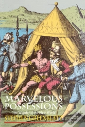 Capa do artigo Marvelous Possessions