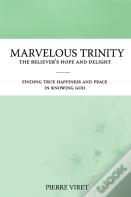 Marvelous Trinity, The Believer'S Hope And Delight