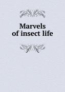 Marvels Of Insect Life