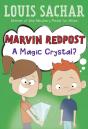 Marvin Redpost #8: A Magic Crystal? - Preview