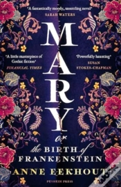 Capa do artigo Mary