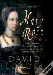 Capa do artigo Mary Rose