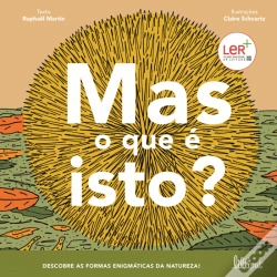 Capa do artigo Mas o que é Isto?