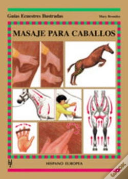 Capa do artigo Masaje Para Caballos