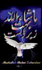 Mashallah Bohot Zabardast - Preview