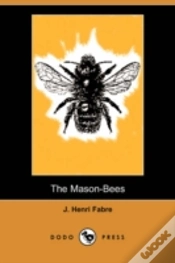 Capa do artigo Mason-Bees (Dodo Press)