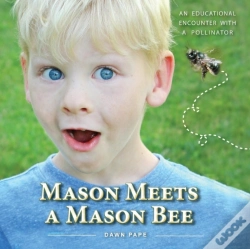 Capa do artigo Mason Meets A Mason Bee