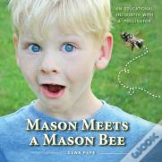 Mason Meets A Mason Bee