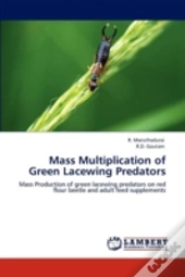 Mass Multiplication Of Green Lacewing Predators