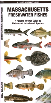 Massachusetts Freshwater Fishes