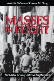 Capa do artigo Masses In Flight