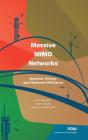 Massive Mimo Networks - Preview