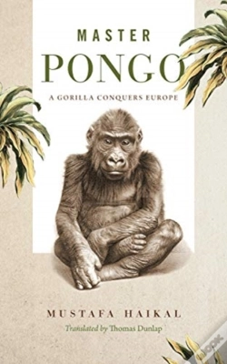 Capa do artigo Master Pongo