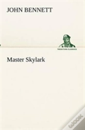 Capa do artigo Master Skylark