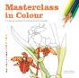 Masterclass In Colour - Preview
