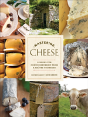 Mastering Cheese - Preview