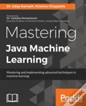 Capa do artigo Mastering Java Machine Learning