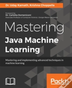 Capa do artigo Mastering Java Machine Learning