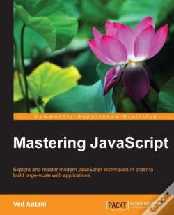 Capa do artigo Mastering Javascript