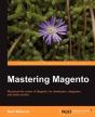 Mastering Magento - Preview