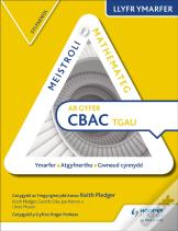 Mastering Mathematics Wjec Gcse Practice Book: Foundation Welsh Edition