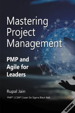 Capa do artigo Mastering Project Management