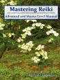 Mastering Reiki - Preview