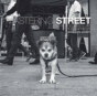 Mastering Street Photography - Preview