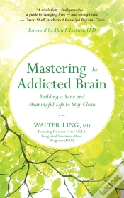 Capa do artigo Mastering The Addicted Brain