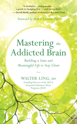 Capa do artigo Mastering The Addicted Brain