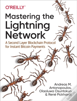 Capa do artigo Mastering The Lightning Network
