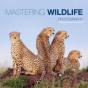 Mastering Wildlife Photography - Preview