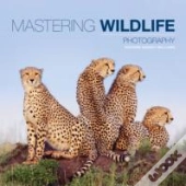 Mastering Wildlife Photography