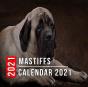 Mastiffs Calendar 2021 - Preview