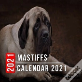 Mastiffs Calendar 2021