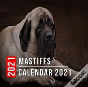 Capa do artigo Mastiffs Calendar 2021