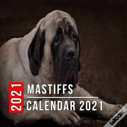 Capa do artigo Mastiffs Calendar 2021