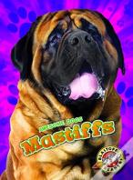 Mastiffs