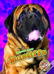 Capa do artigo Mastiffs